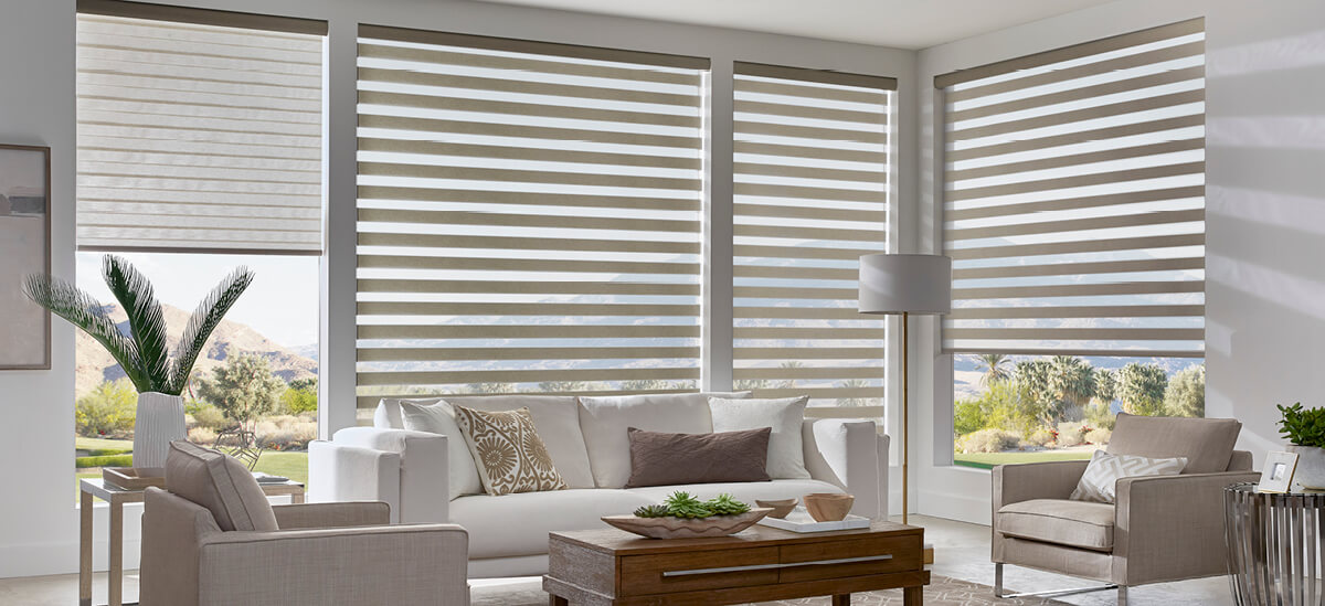 Zebra Shades in a Contemporary Living Room Setting