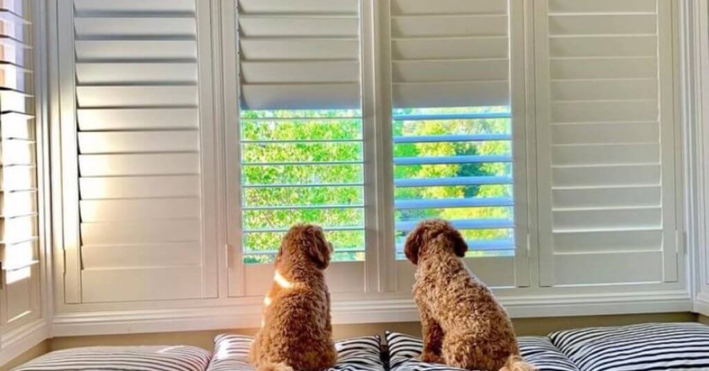cons of installing shutters obstructing views