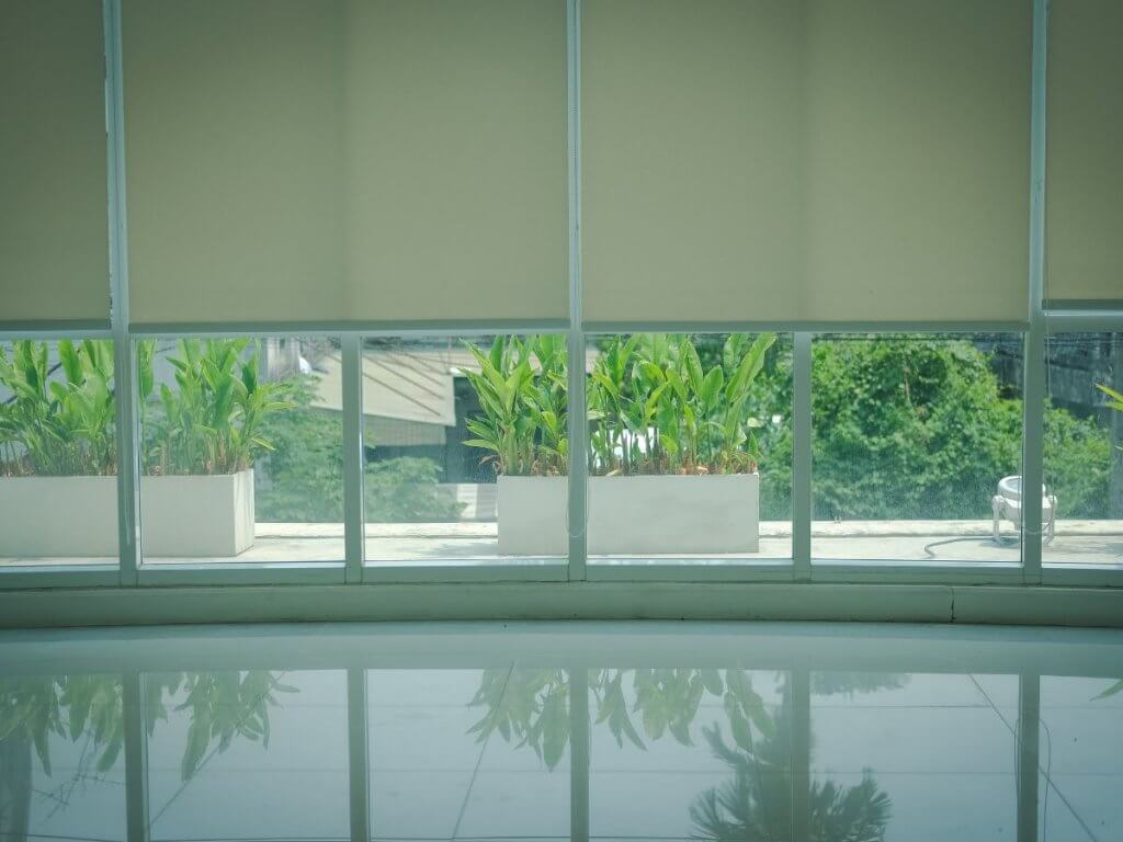 Right Window Blinds for Your Home